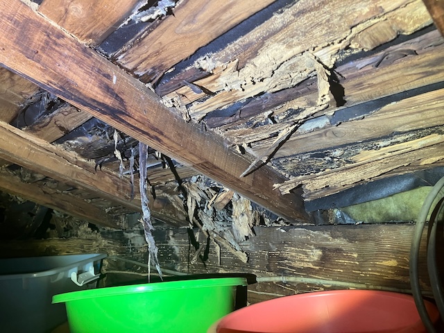 腐食した野地板・別角度